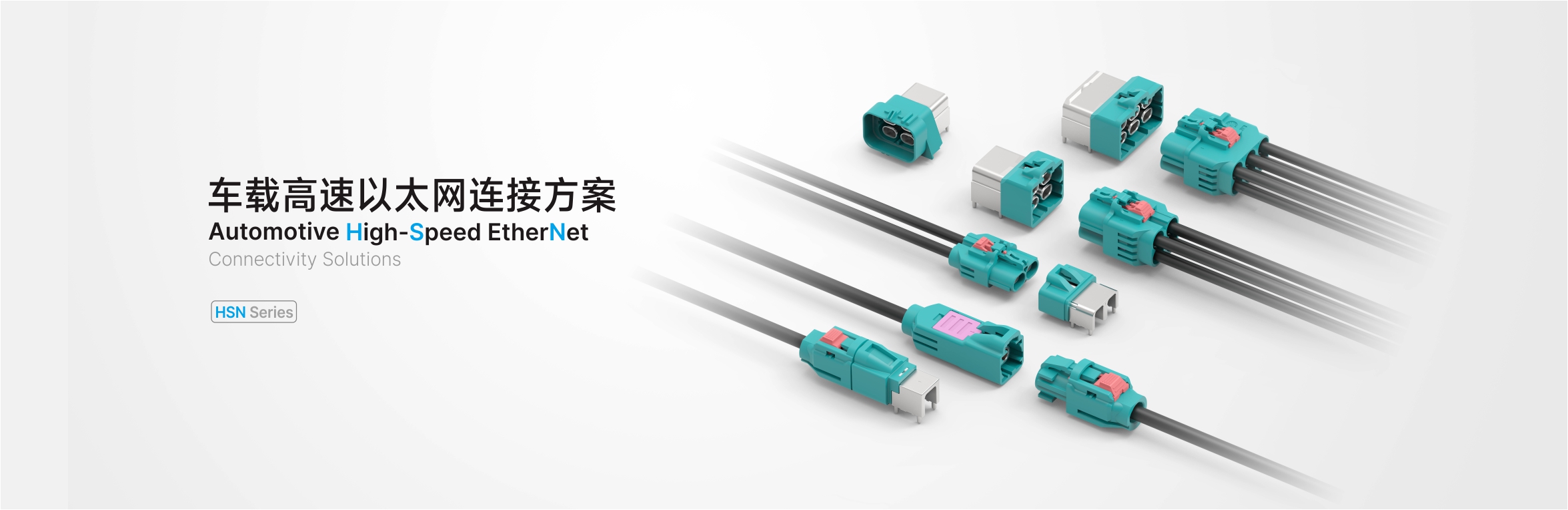 202WEBsite upgrat2cn.jpg